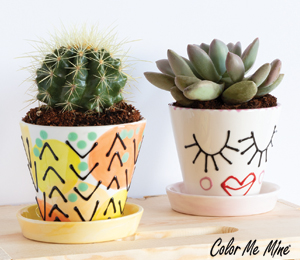 Las Cruces Color Me Mine Cute Planters